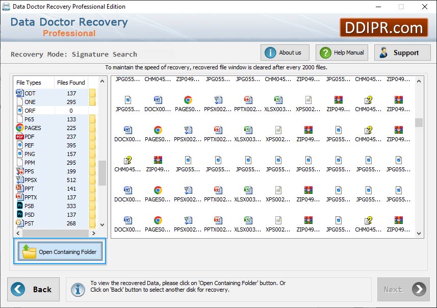 DDR Professional Recovery Software