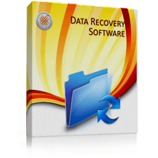 DDR Professional Data Recovery